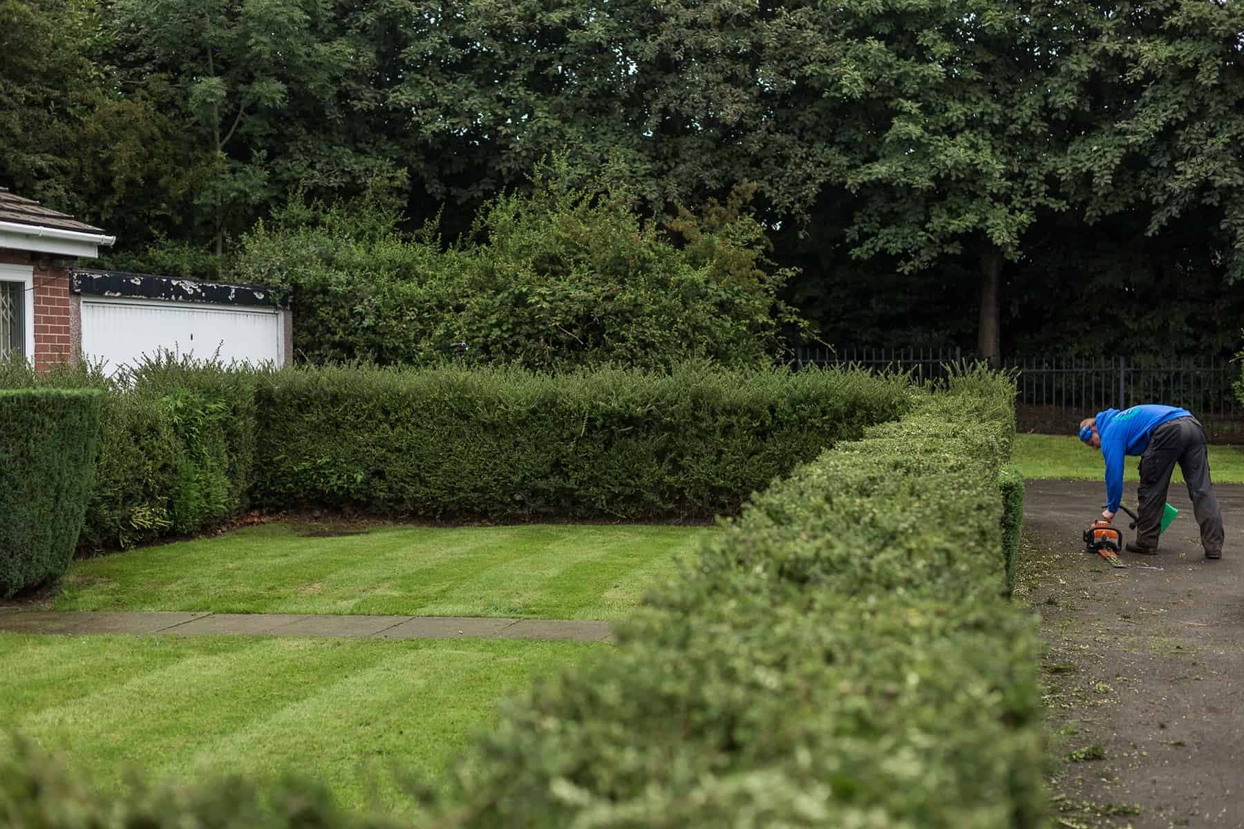 Landscape Maintenance
